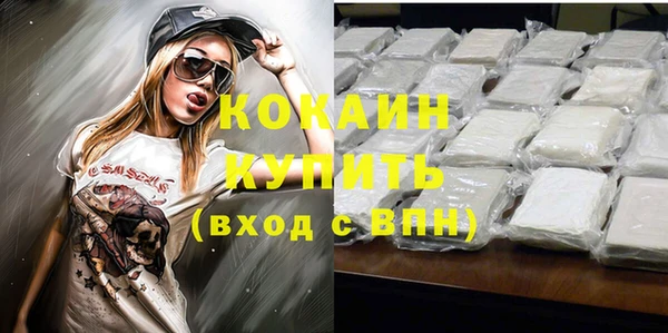 дмт Богородицк