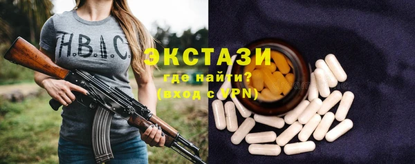 дмт Богородицк